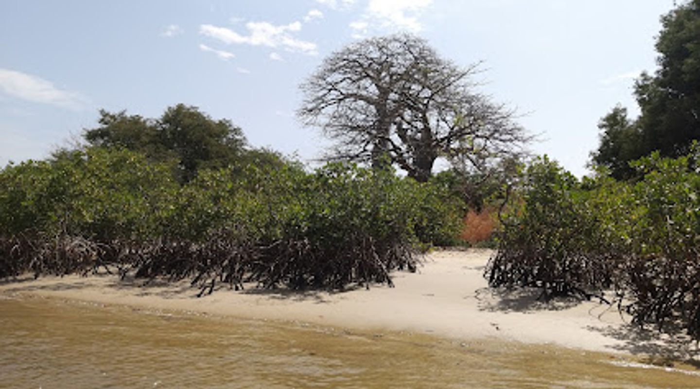 Saloum Delta National Park