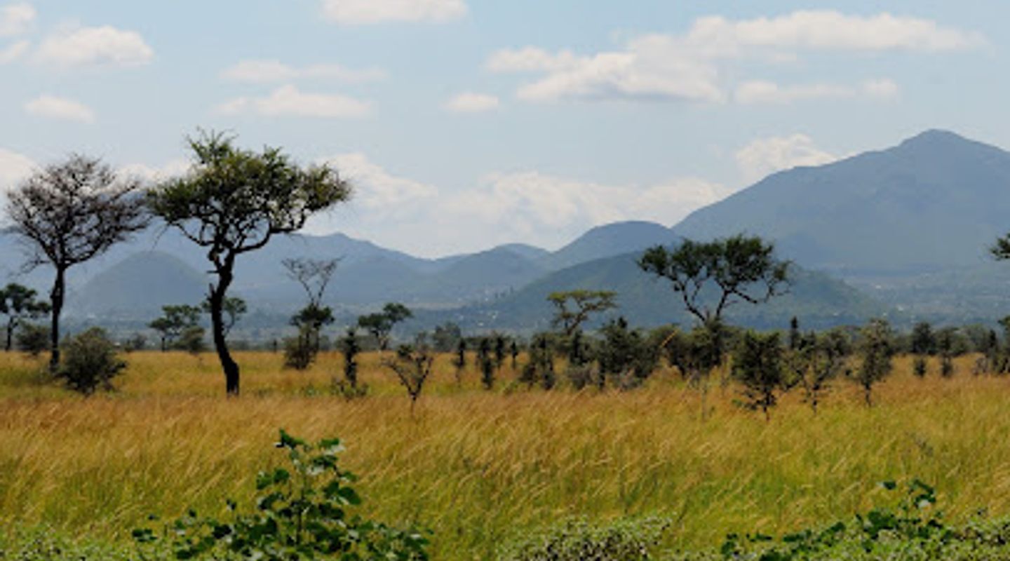 Ruma National Park