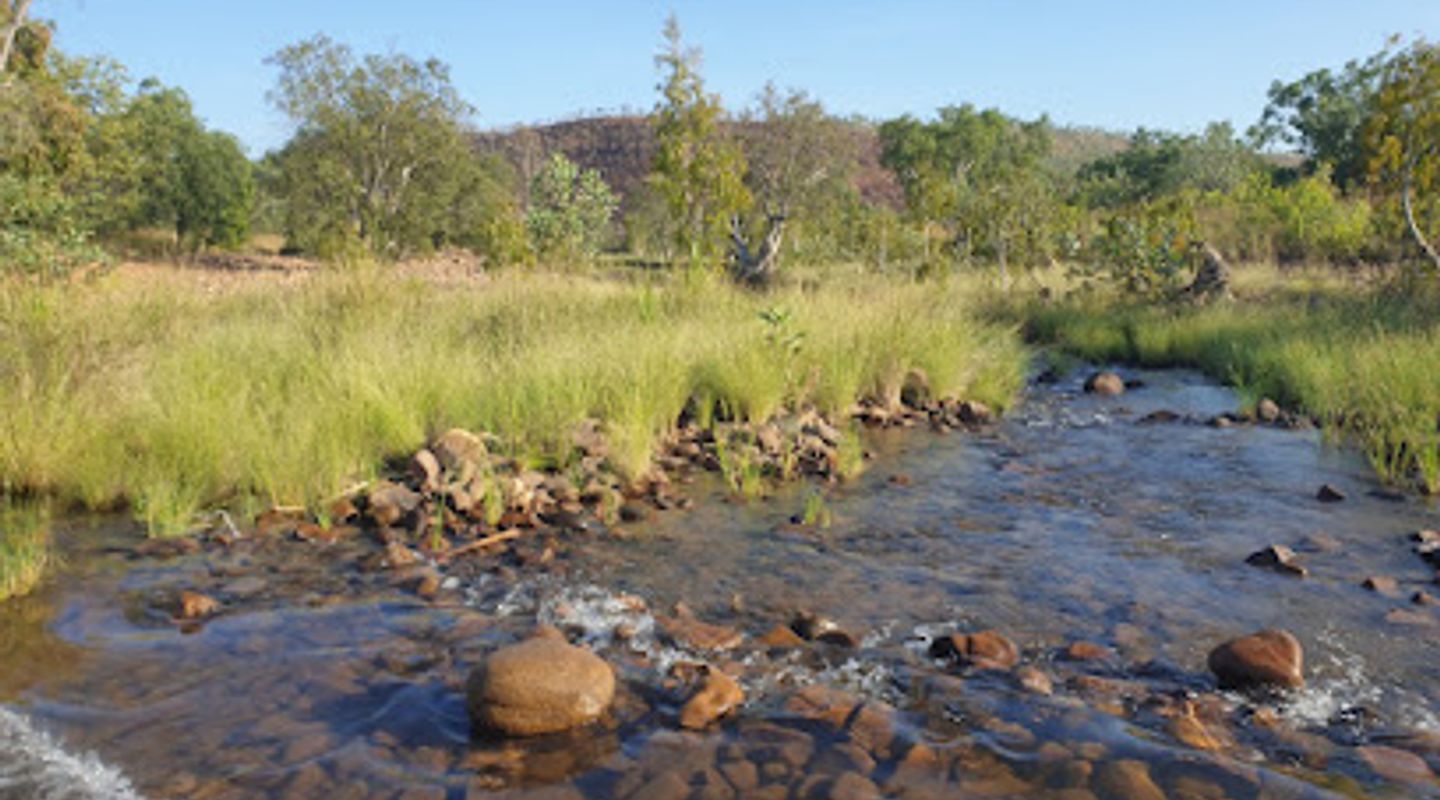 Zebedee Springs