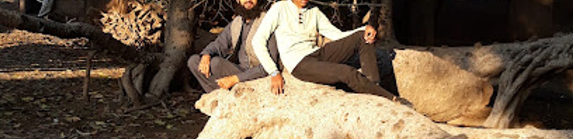Background