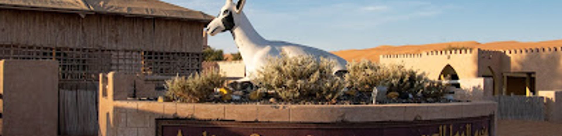 Experience the Serenity of Arabian Oryx Camp