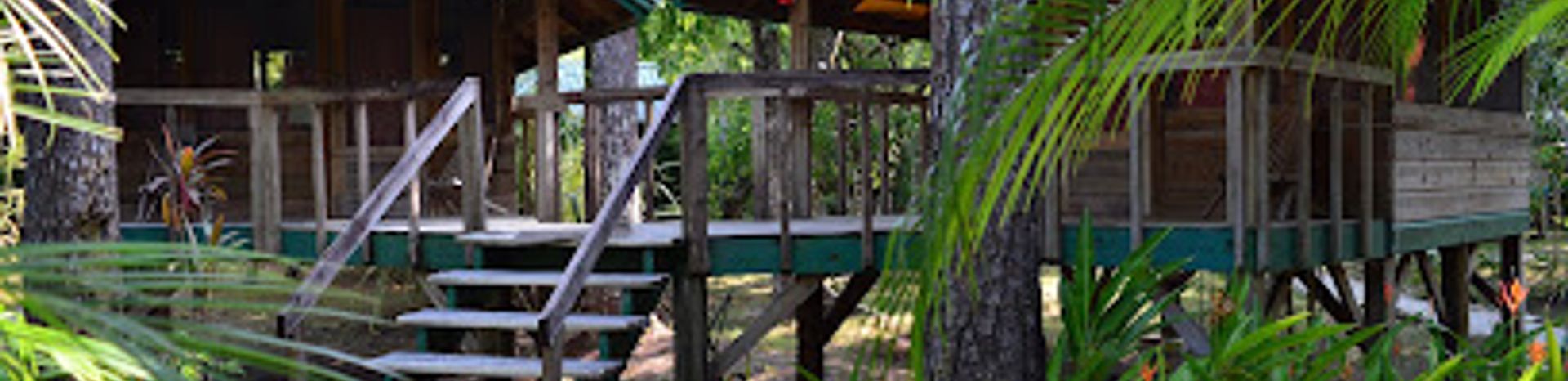 Discover the Tropical Education Center: A Nature Lover's Paradise