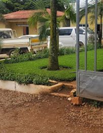 Attraction