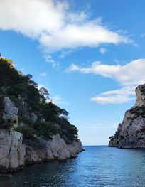 Attraction