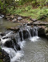 Attraction