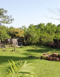 Attraction