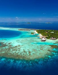 Attraction