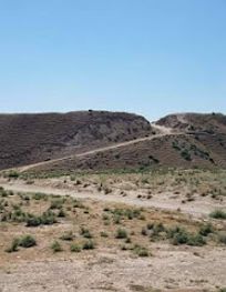 Attraction