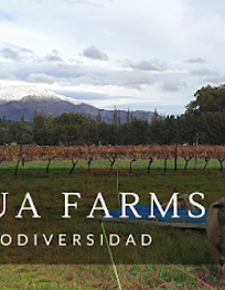 Attraction