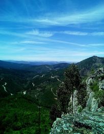 Attraction