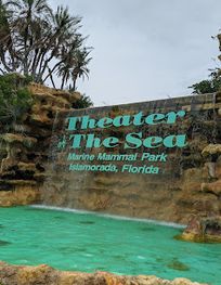Attraction