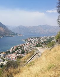 Attraction