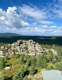 Attraction