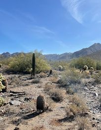 Attraction