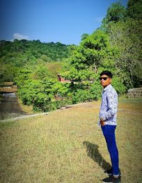 Attraction