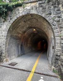 Attraction