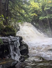 Attraction