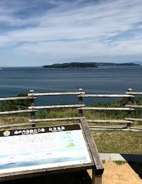 Attraction