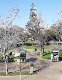 Attraction