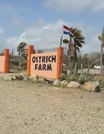 Attraction