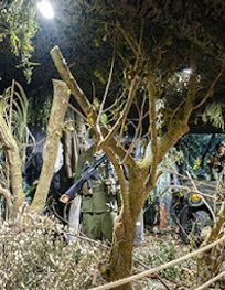 Attraction