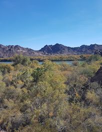 Attraction