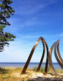 Attraction