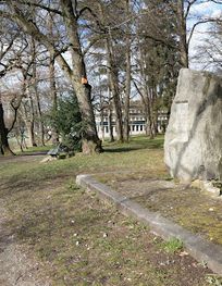 Attraction