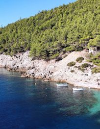 Attraction