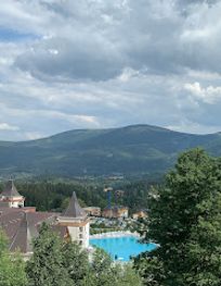Attraction