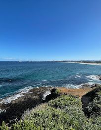Attraction