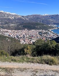 Attraction