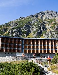 Attraction
