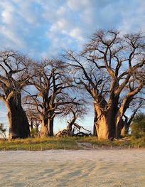 Attraction
