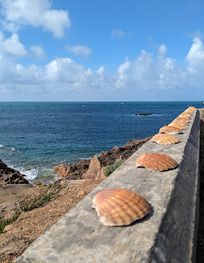 Attraction