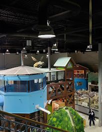 Attraction