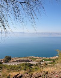 Attraction