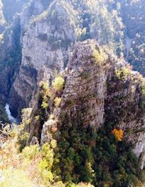 Attraction