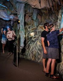 Attraction