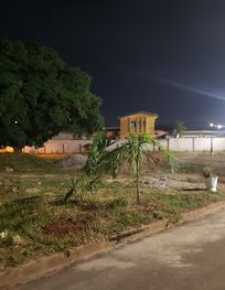 Attraction