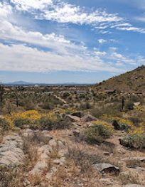 Attraction