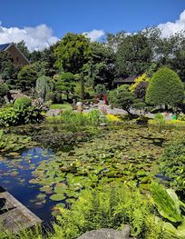 Attraction