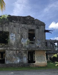 Attraction
