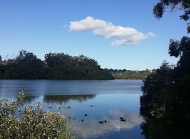 Salt Pan Creek