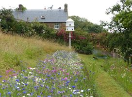 Judith Queree's Garden