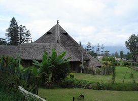 Raun Raun Theater