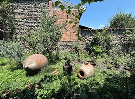 Wine Yard N1
