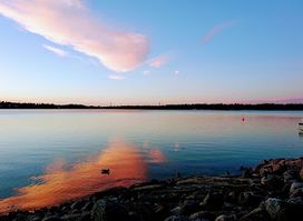 Kaskisaari
