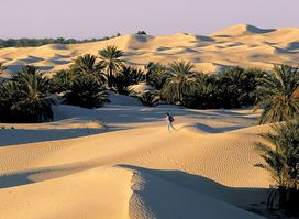Sahara Desert Tunisia ღ