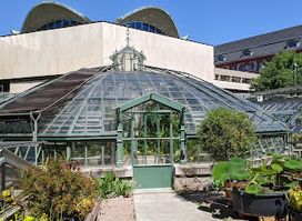 University of Basel Botanical Garden